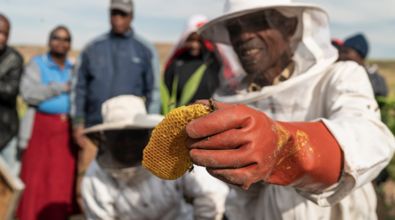 Weltbienentag: Mit einem Bienenstock doppelt Freude schenken!