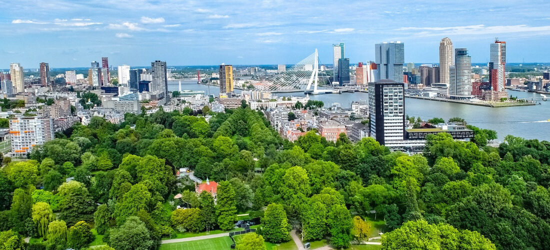 „Grün in die Stadt“ –  Initiative für mehr urbane Begrünung in deutschen Städten