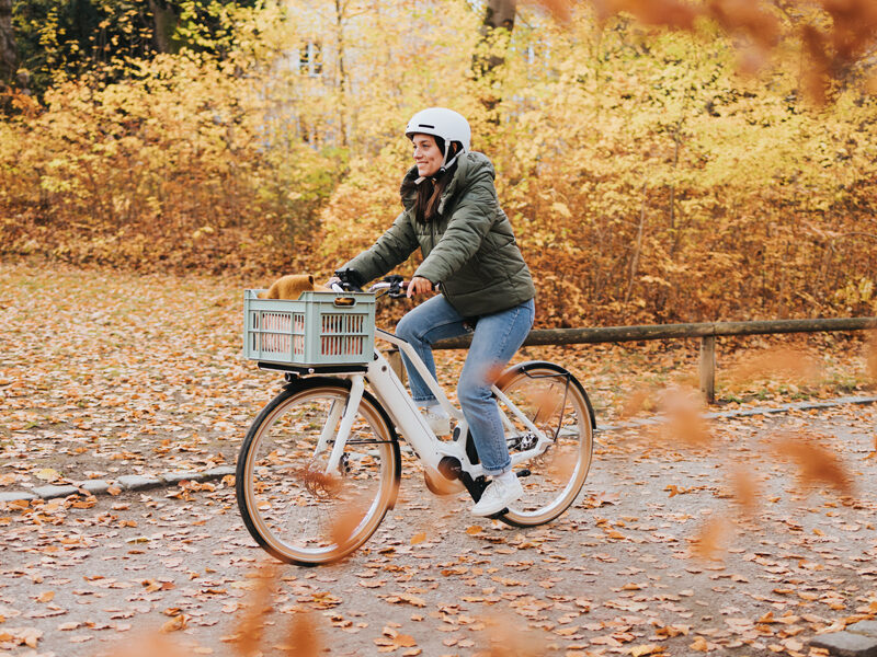 Der richtige Umgang mit dem eBike Akku<br/> in der kalten Jahreszeit